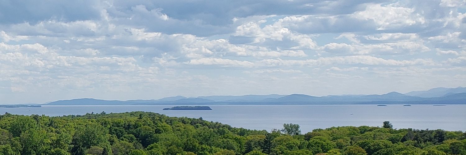 Dr. Rachael Floreani banner