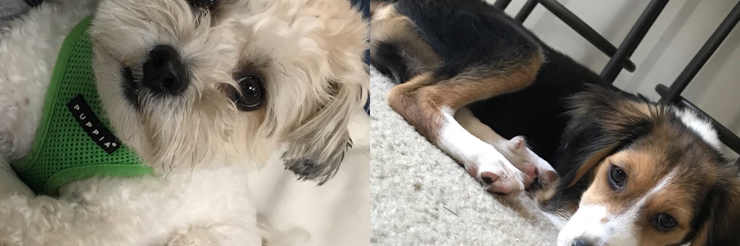 cobykayc's profile banner image