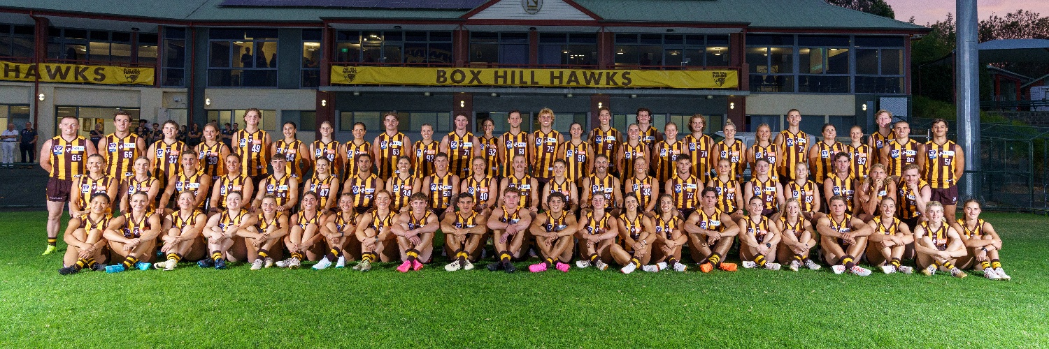 Box Hill Hawks banner
