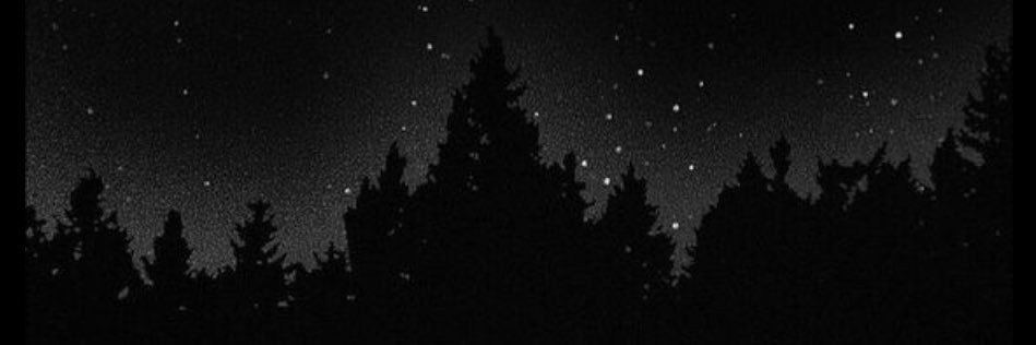 ANA_FORTIGE's profile banner image
