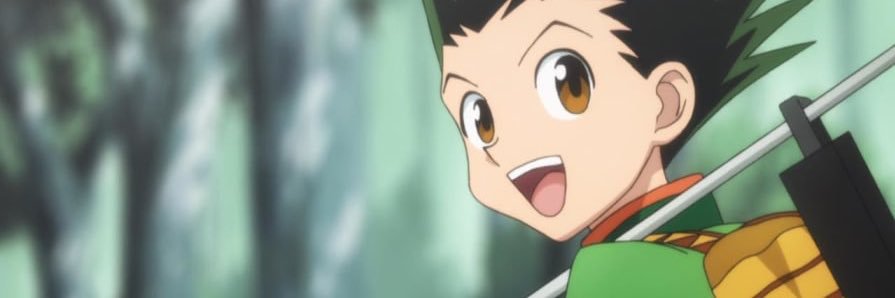 Whoops banner