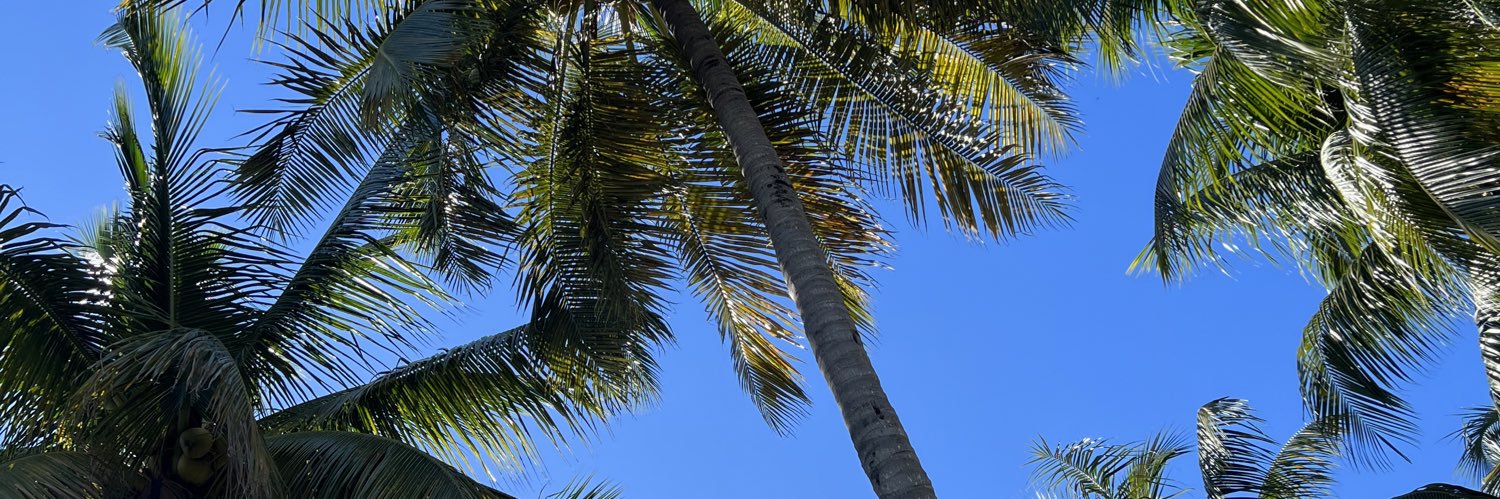 RoyalDivaRevords banner