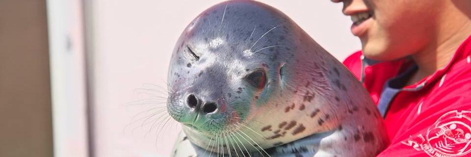 typ2405's profile banner image