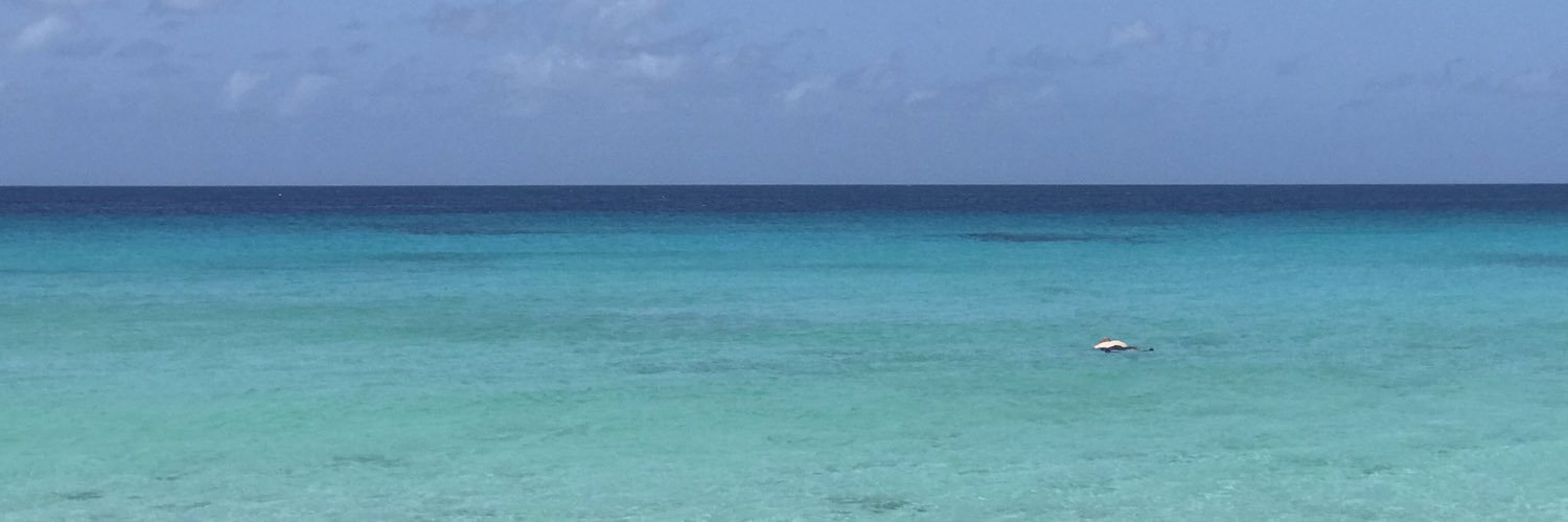 RaeOvSunshyne's profile banner image