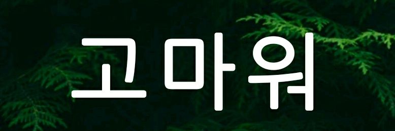 Nur_kh100's profile banner image