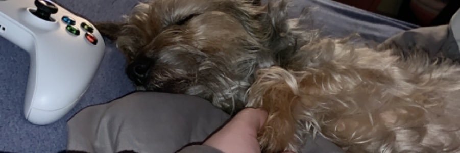 kileyxmarie's profile banner image
