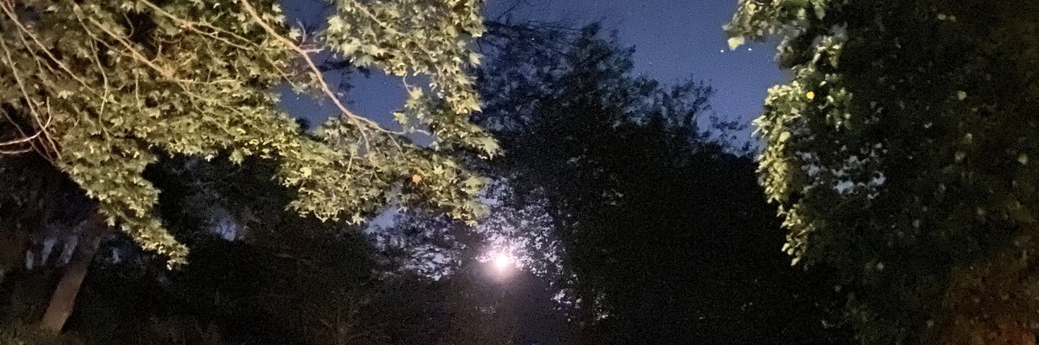 BubWalsh's profile banner image