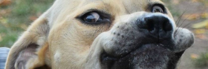 nickpod44's profile banner image