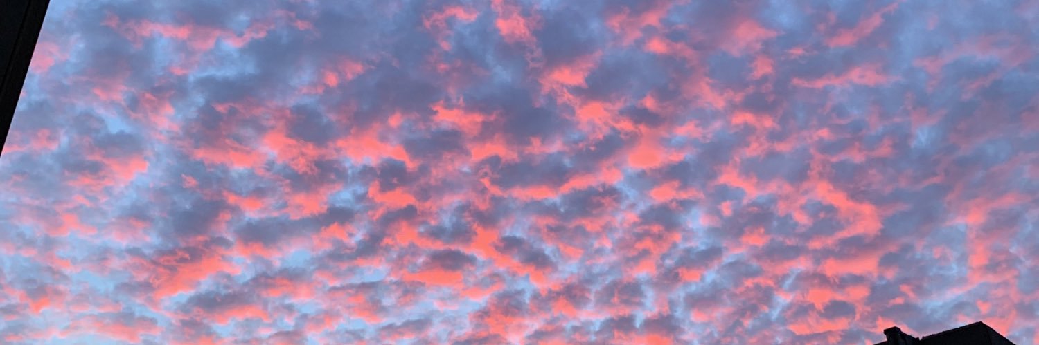 ssofiiiaaa_'s profile banner image