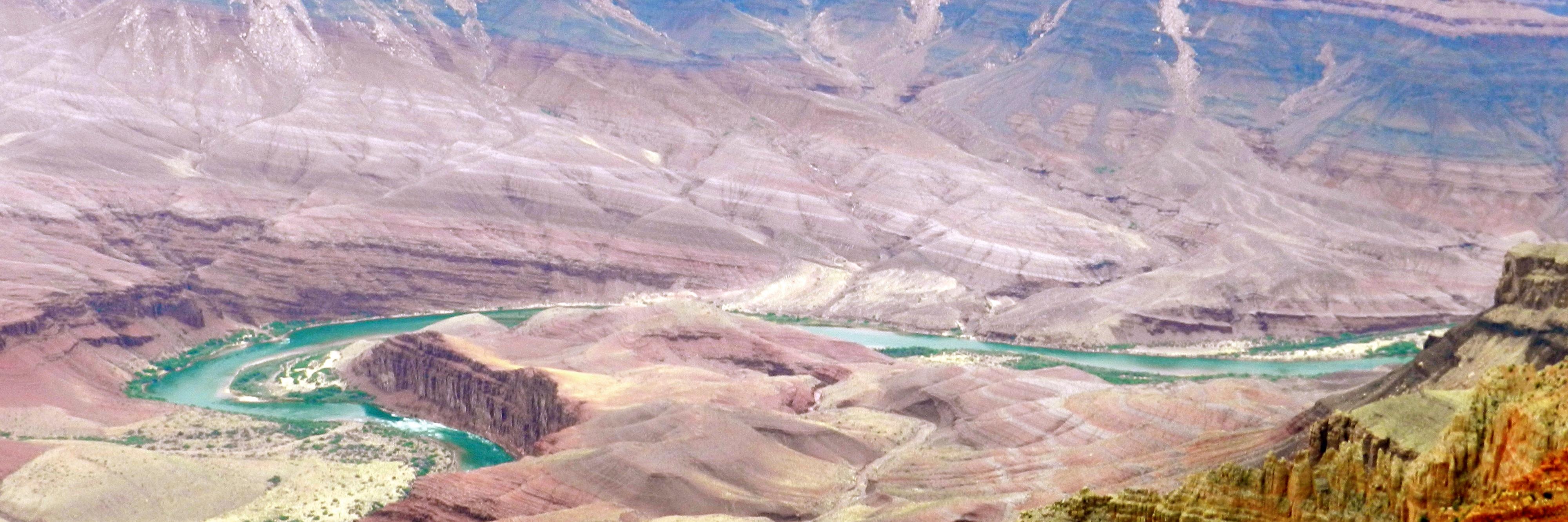 babypotatohedsfather banner