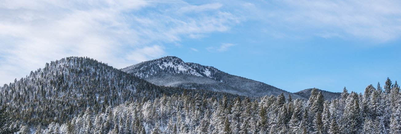 DukeWoodsetter's profile banner image