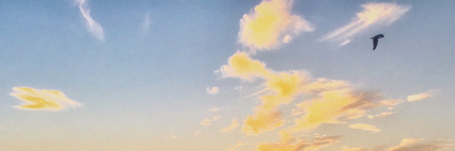 mikmall's profile banner image