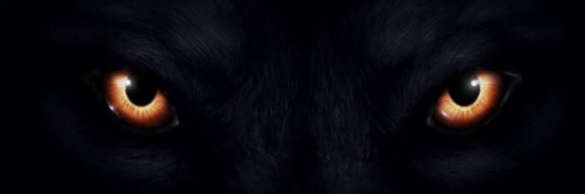 YomiDaMenace's profile banner image