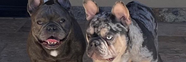 Dutch_Oven45 Profile Banner