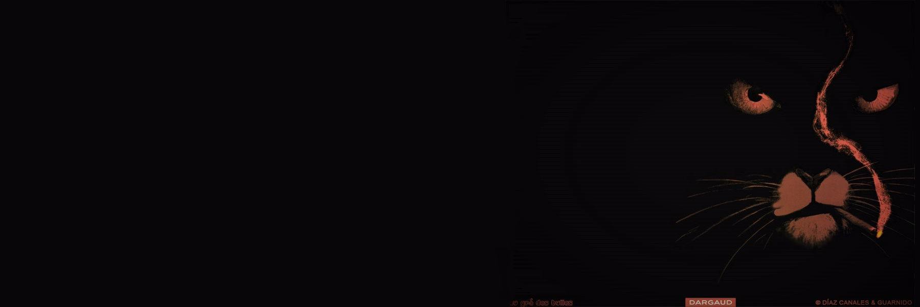 R14510's profile banner image
