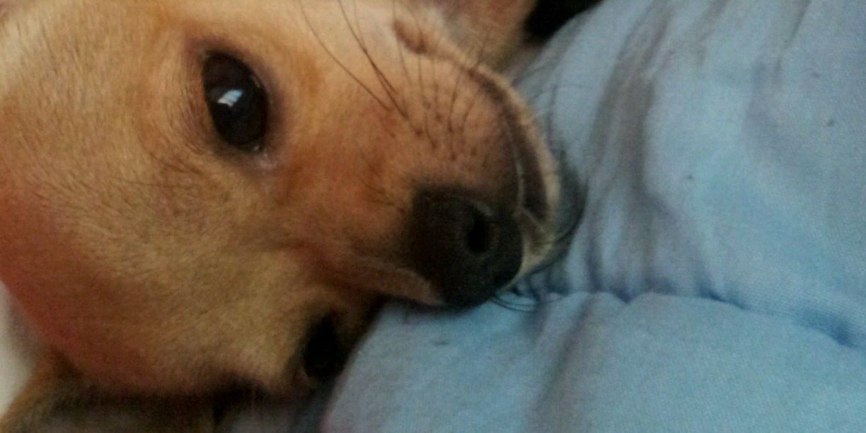 Rincon_Hannah's profile banner image