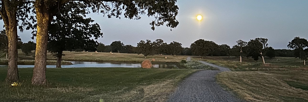 LenCritcher's profile banner image