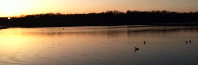 RecoveryWatch's profile banner image