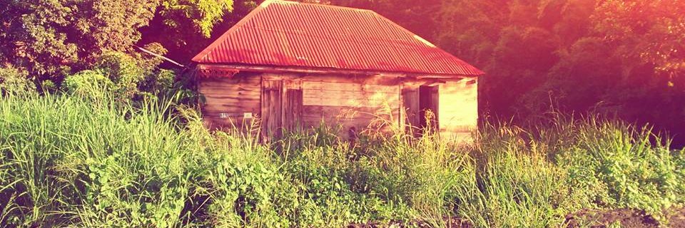 Darydkids's profile banner image