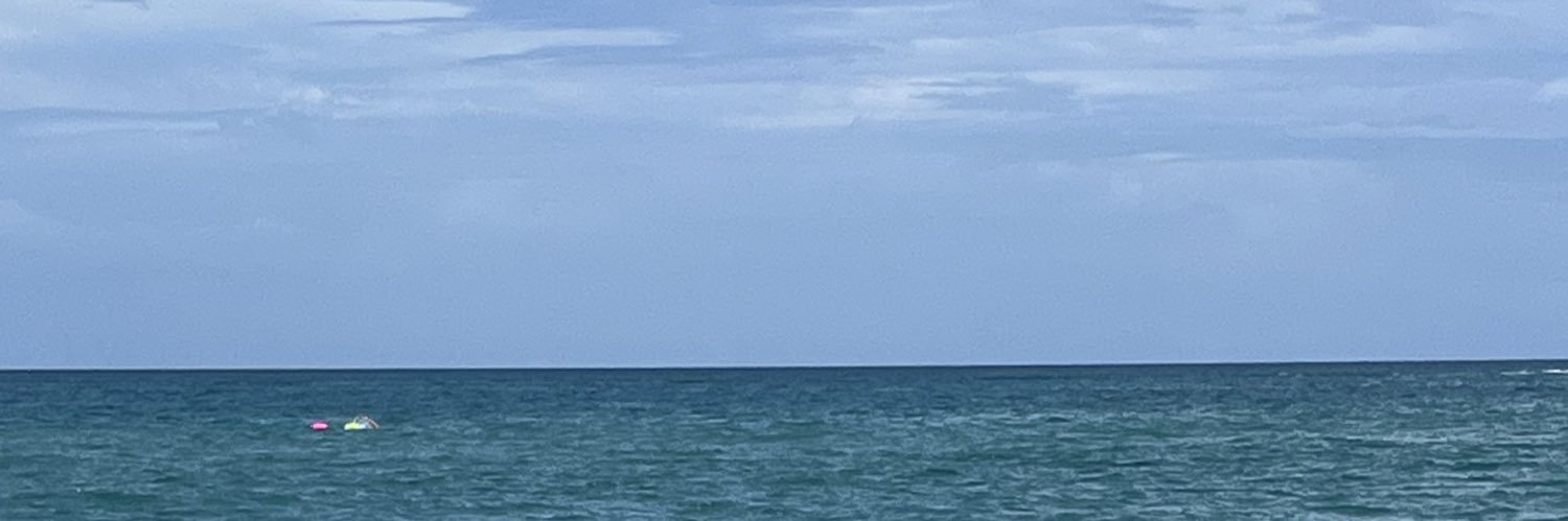 leaniekrys's profile banner image
