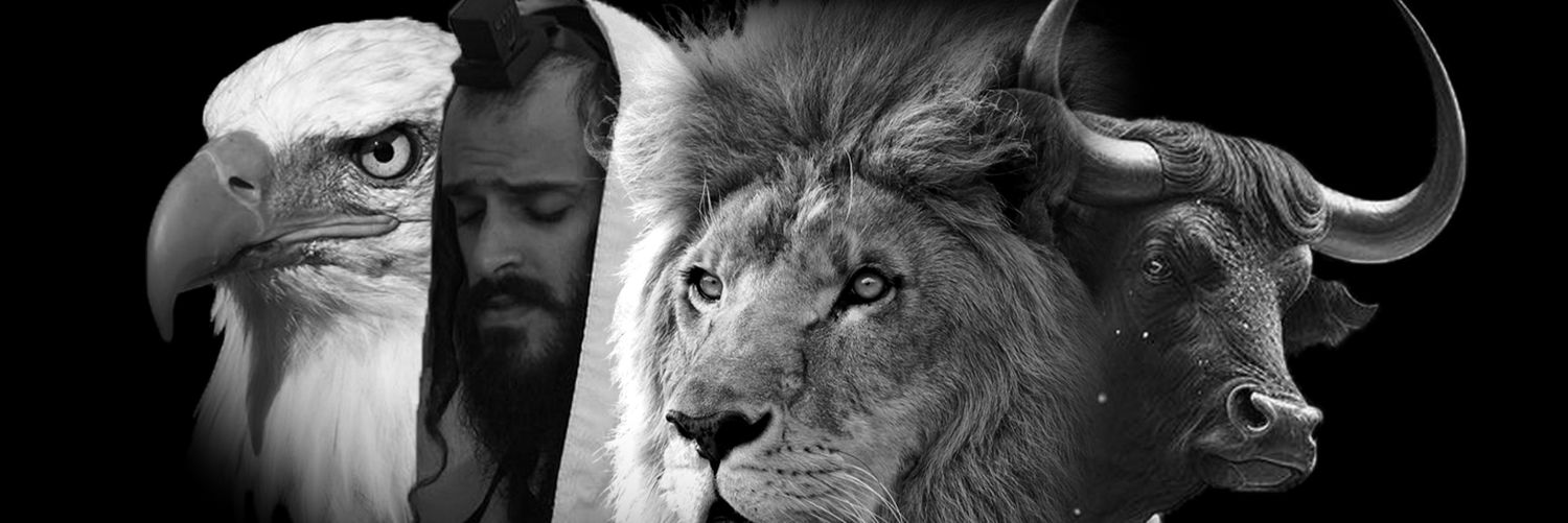 doneve001's profile banner image