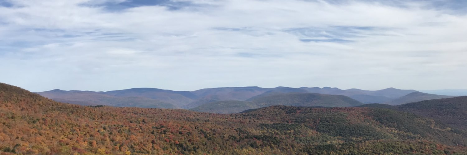 elizhardison's profile banner image