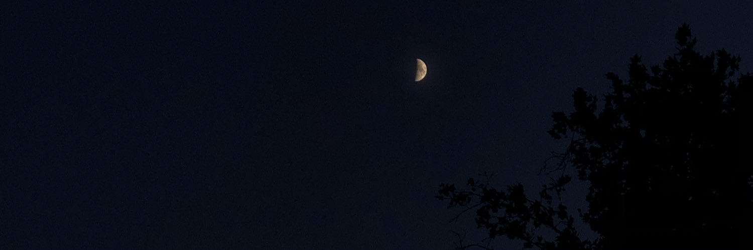 la_so___fi's profile banner image