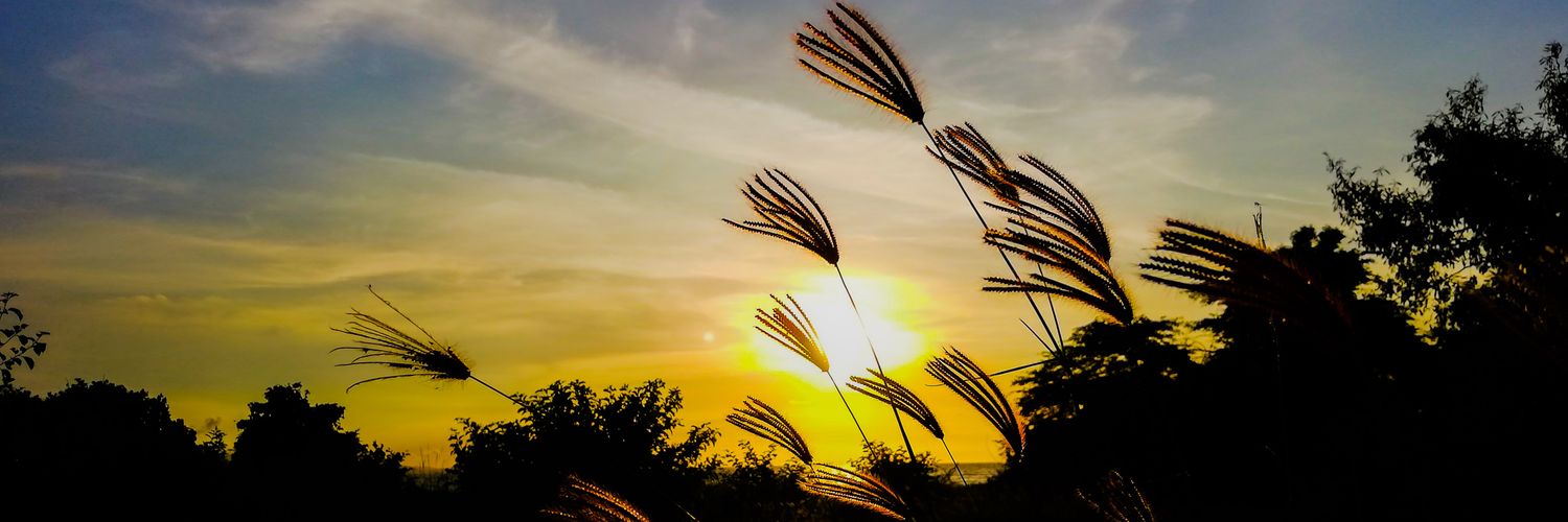 DairiIsabel's profile banner image