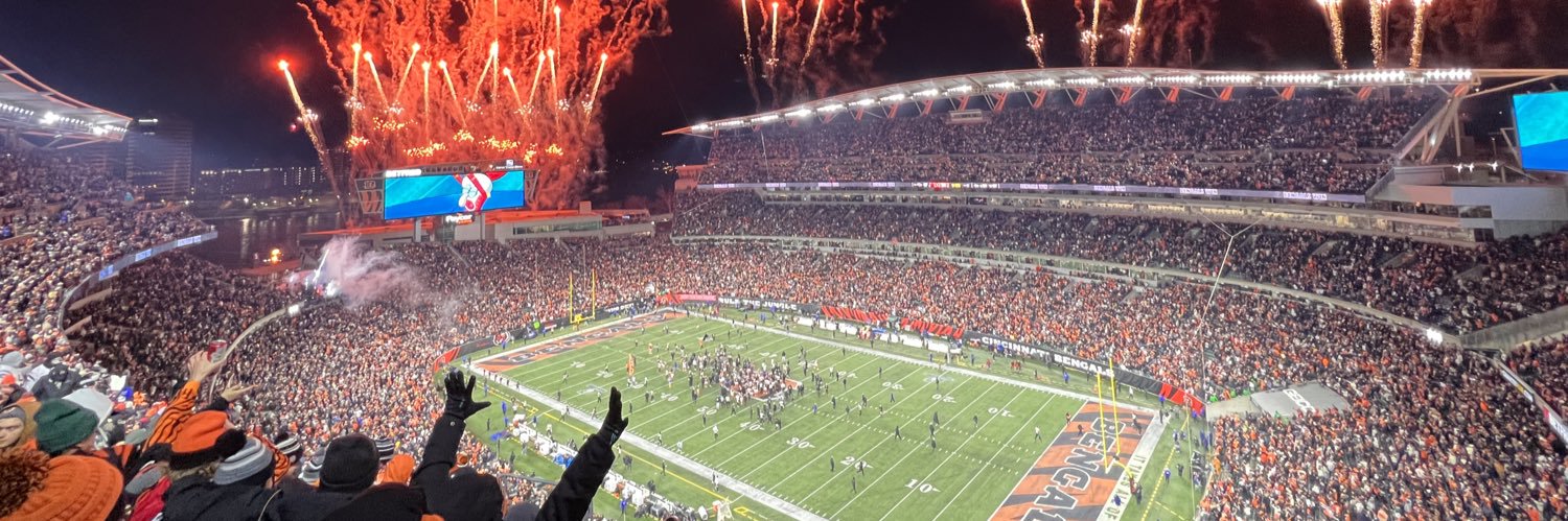 Bengals Problems banner