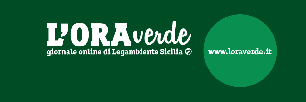 _loraverde's profile banner image