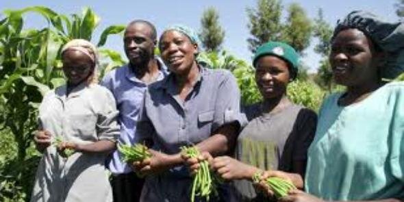 Fairtrade banner