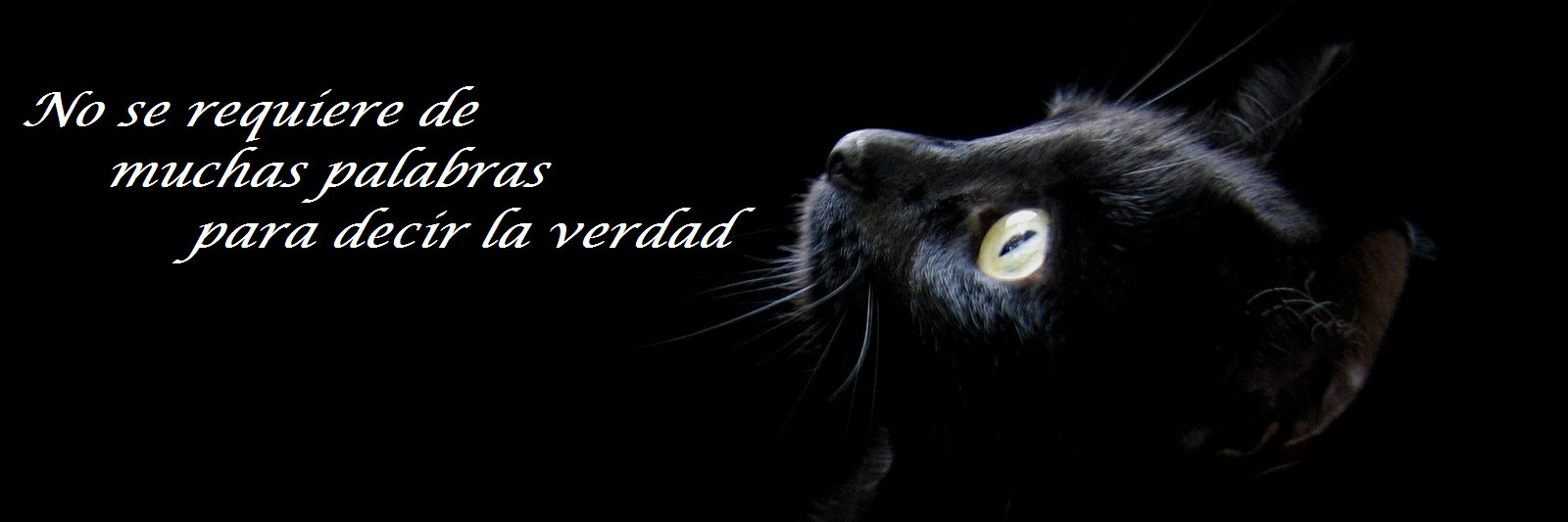 cielo_de_tunez's profile banner image