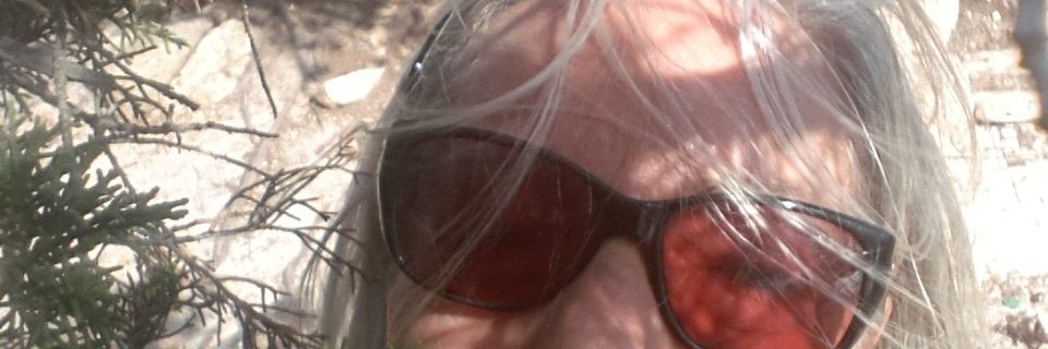 Pinutopia's profile banner image