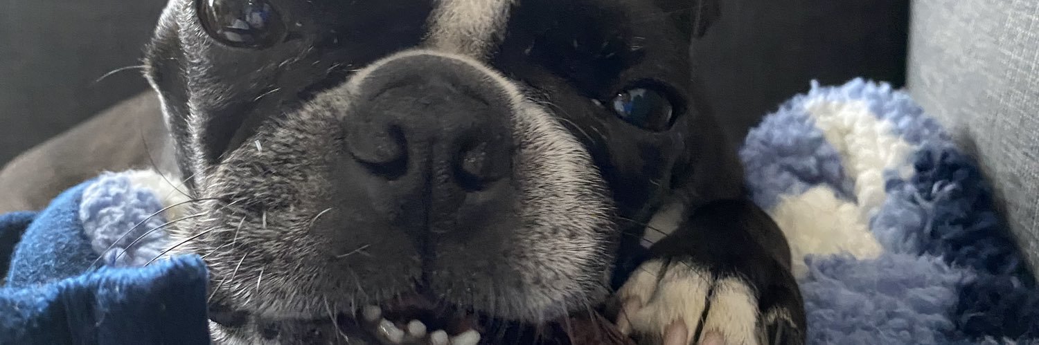 Keyvan Karkouti banner