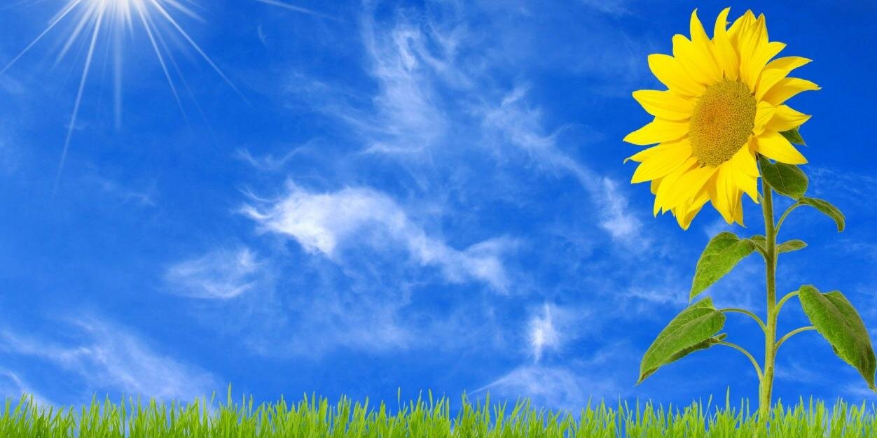 Formosa Nation banner