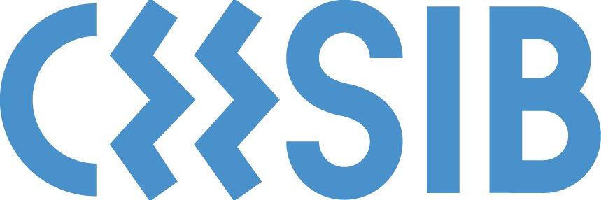 CEESIB's banner