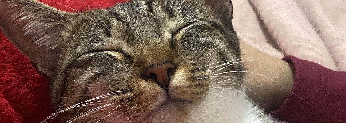 _Rafapf's profile banner image