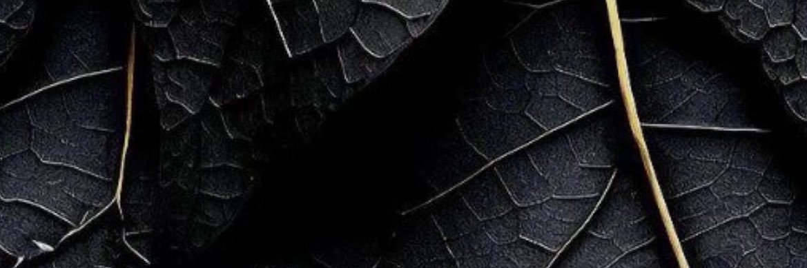 FaxBig123's profile banner image