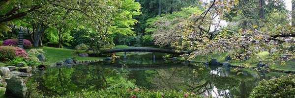 DrAdeleDiamond Profile Banner