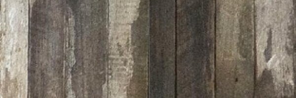 TSustentables Profile Banner