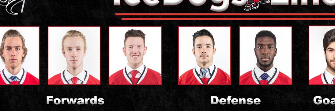 Go Dogs Go !!!! banner