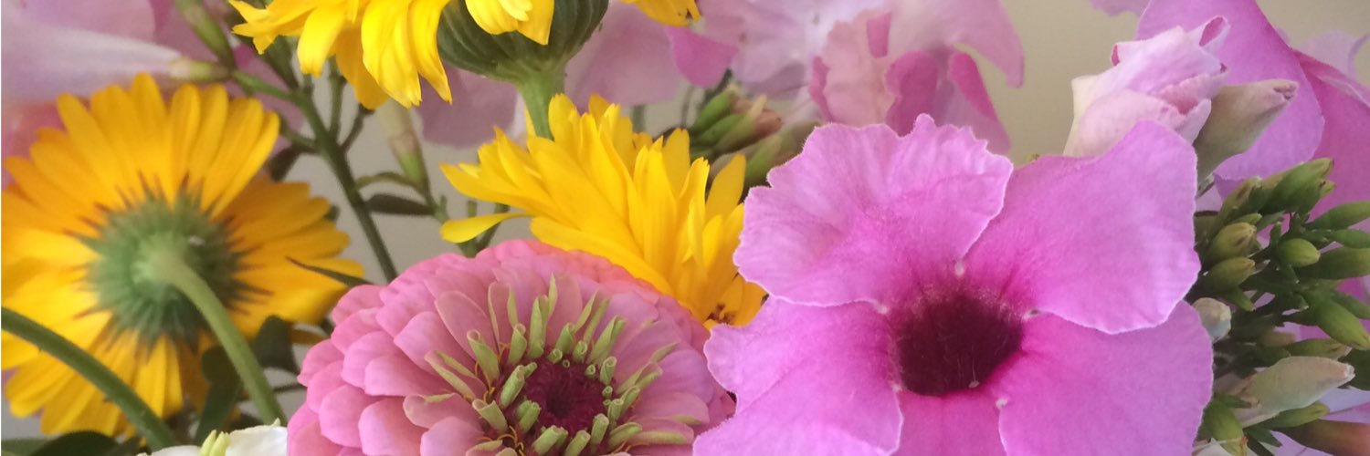 msdeannaf's profile banner image