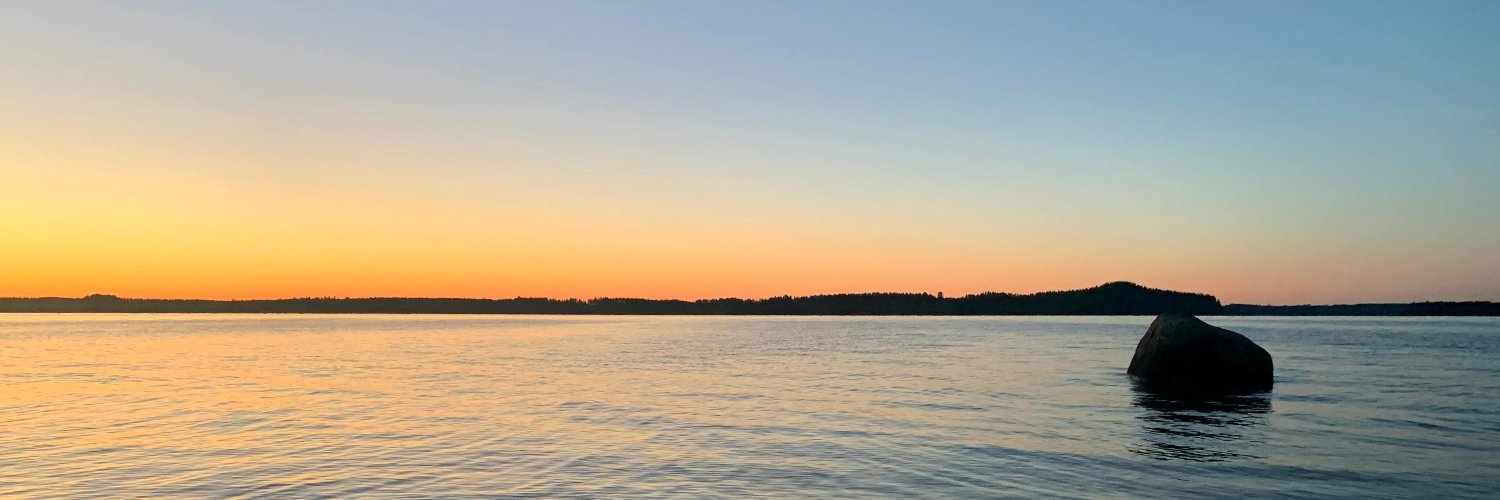 alaperie's profile banner image