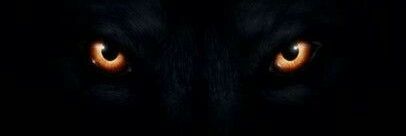 andrevaszco's profile banner image