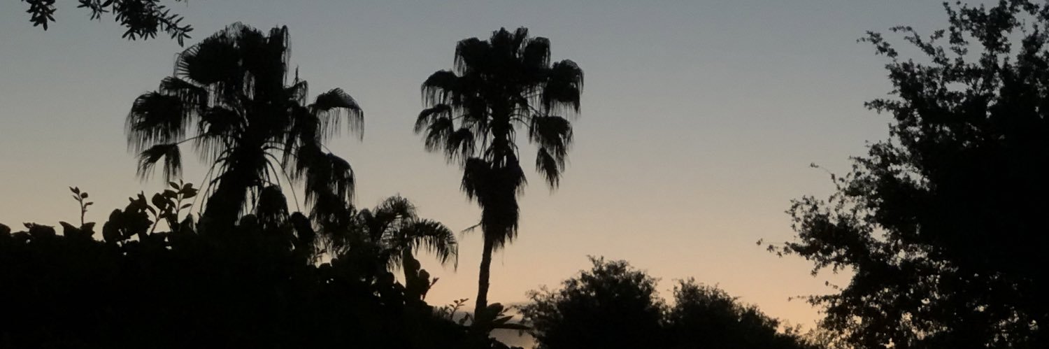 CourtneyHa_'s profile banner image