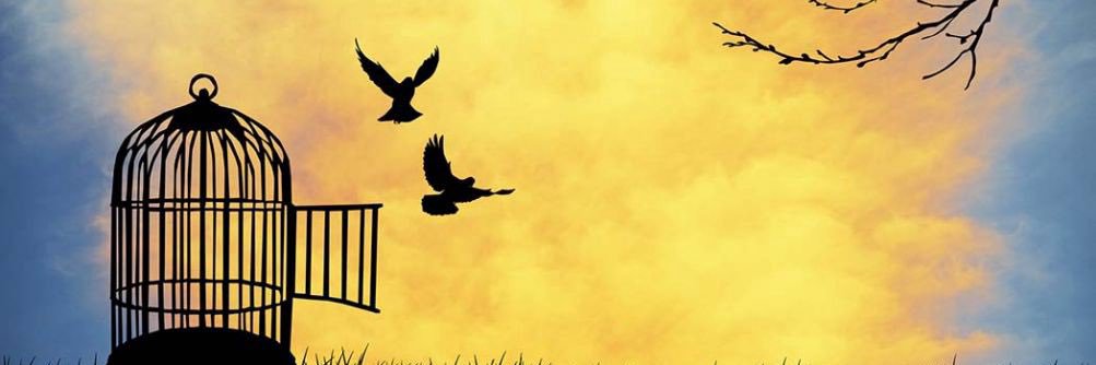 Grace1413's profile banner image