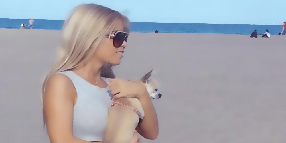 CFGabySanchez's profile banner image