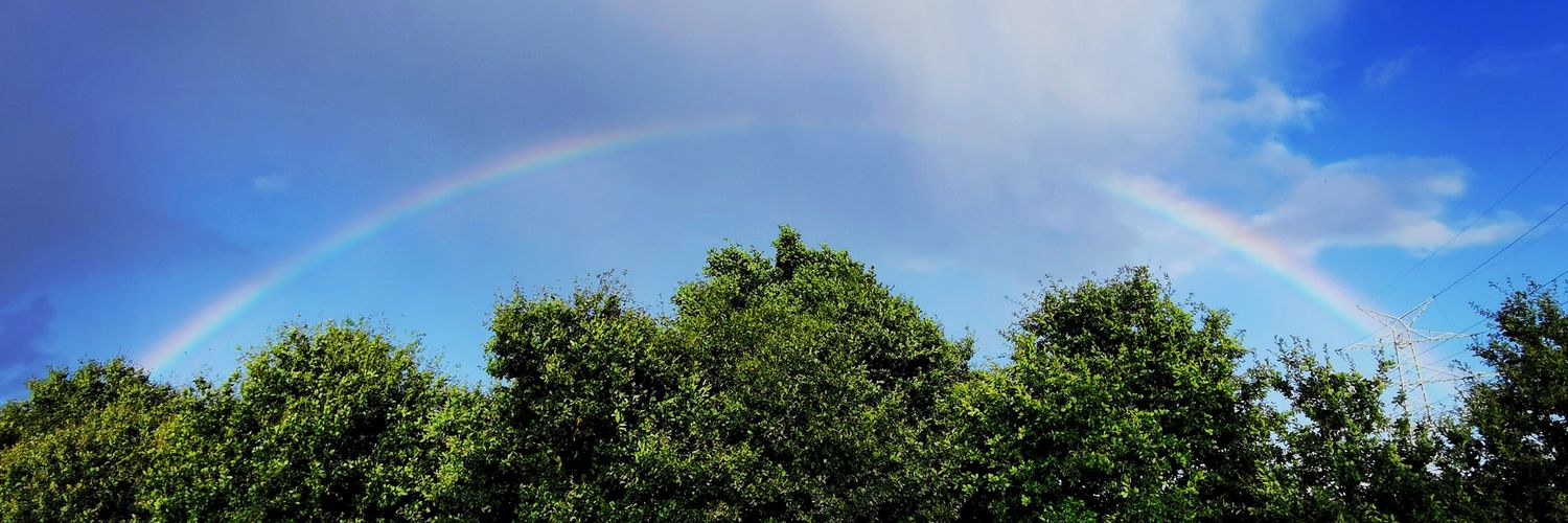 ikarosaeder's profile banner image
