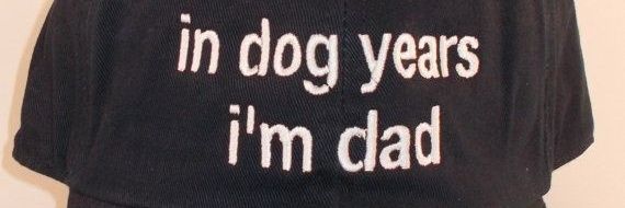 ldonsi 🦊🌙 banner