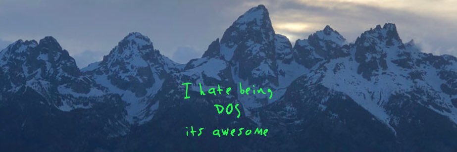 Dosthedude's profile banner image